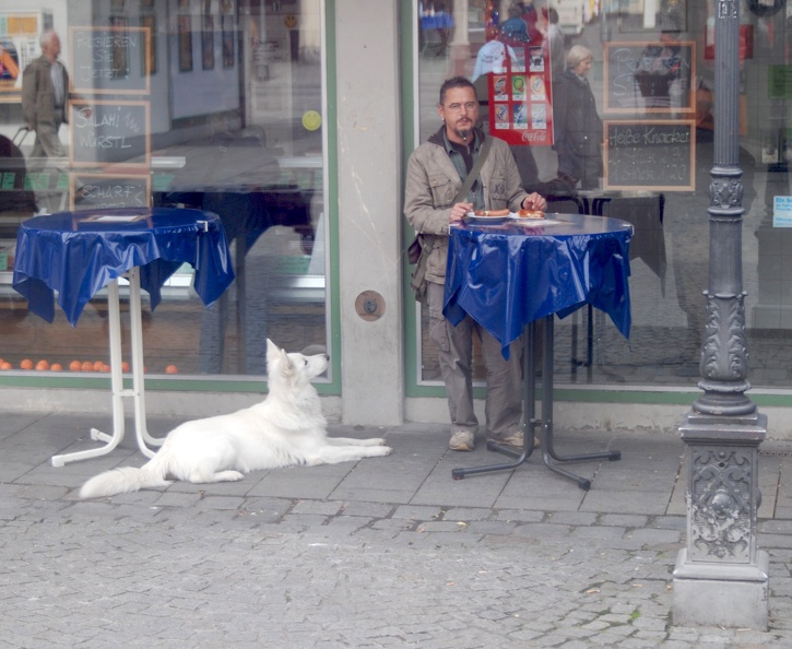 Man and Dog Munich.jpg