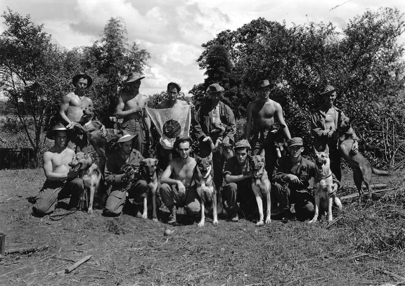 Burma 2 Sept 44 Marauder Infantry