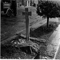 German Grave Genoa italy 4-28-45
