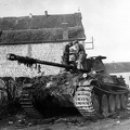 Panzer V Panter Humain Belgium 12-26-44