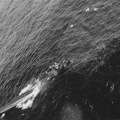 U-664 9 Aug 43 Sunk by USS Card